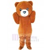 Bear mascot costume
