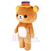 Bear mascot costume