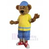 Bear mascot costume