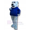 Bear mascot costume