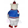 Bear mascot costume