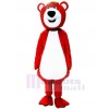 Bear mascot costume