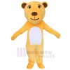 Bear mascot costume
