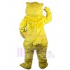 Bear mascot costume