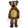 Bear mascot costume