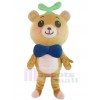 Bear mascot costume