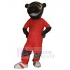 Bear mascot costume