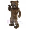 Bear mascot costume