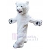 Bear mascot costume