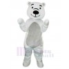 Bear mascot costume