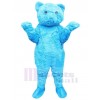 Bear mascot costume