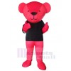 Bear mascot costume