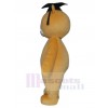 Bear mascot costume