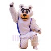 Bear mascot costume