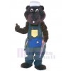 Bear mascot costume