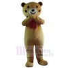 Bear mascot costume