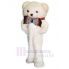 Bear mascot costume