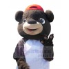 Bear mascot costume