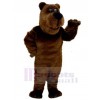 Bear mascot costume