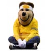 Bear mascot costume