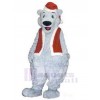 Bear mascot costume