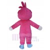 Bear mascot costume
