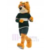 Bear mascot costume