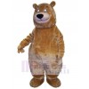 Bear mascot costume