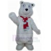 Bear mascot costume