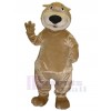 Bear mascot costume