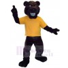 Bear mascot costume