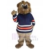 Bear mascot costume
