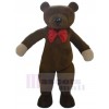 Bear mascot costume