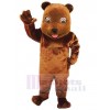Bear mascot costume