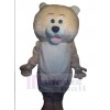 Bear mascot costume