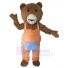 Bear mascot costume
