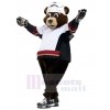 Bear mascot costume