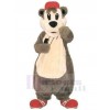 Bear mascot costume