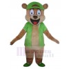 Bear mascot costume