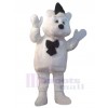 Bear mascot costume