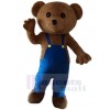 Bear mascot costume