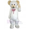 Bear mascot costume