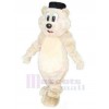Bear mascot costume