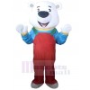 Bear mascot costume