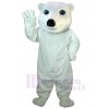 Bear mascot costume