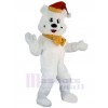 Bear mascot costume