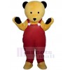 Bear mascot costume