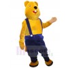Bear mascot costume