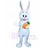 Bunny mascot costume