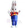 Bunny mascot costume